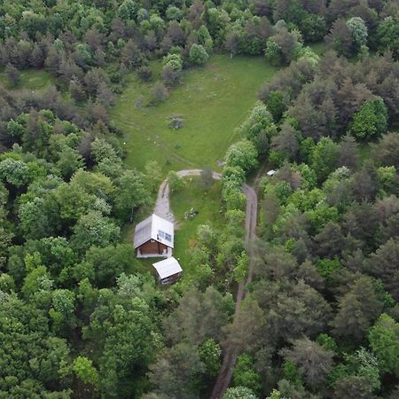 Podklanci-House In The Forest Knezak Exterior foto